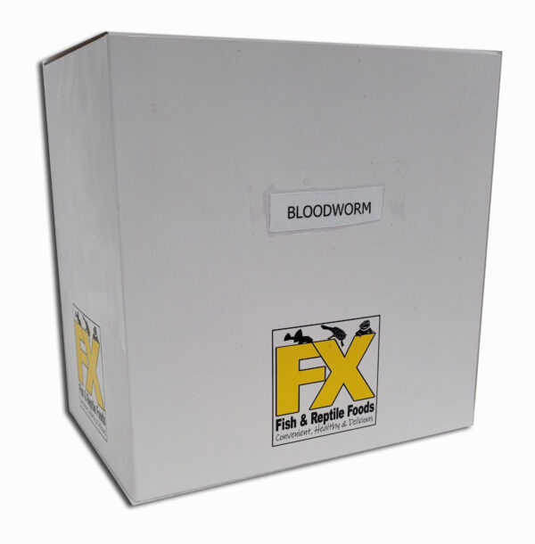 Premium Bloodworm (10 X 100g)